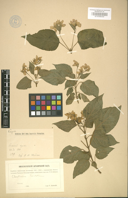 LE 01008160