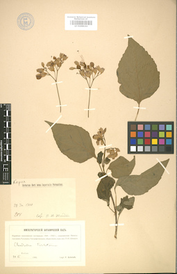 LE 01008164