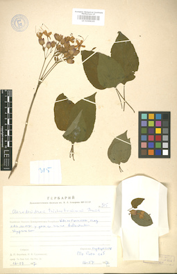 LE 01008165