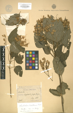 LE 01008167