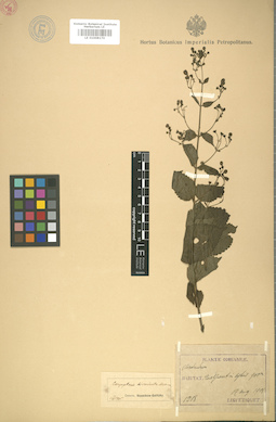 LE 01008170