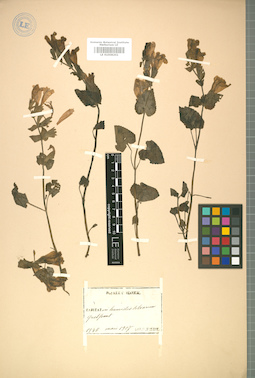 LE 01008202