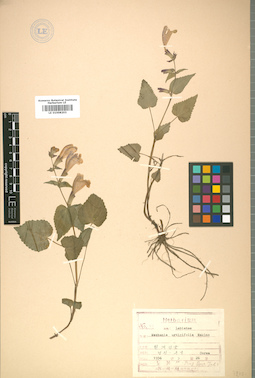 LE 01008203