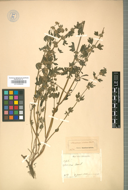 LE 01008204