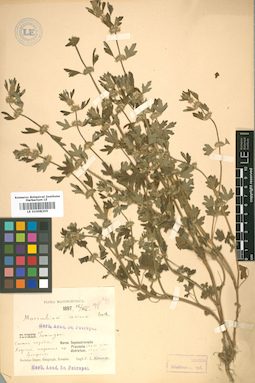 LE 01008205
