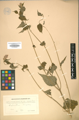 LE 01008209