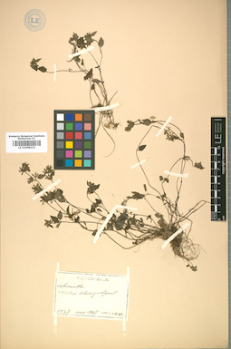 LE 01008222