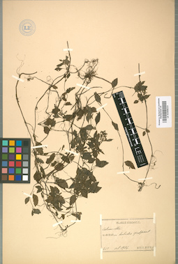 LE 01008223