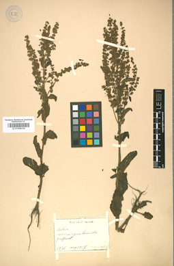 LE 01008230