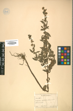 LE 01008242