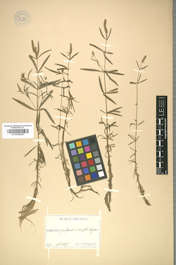 LE 01008267