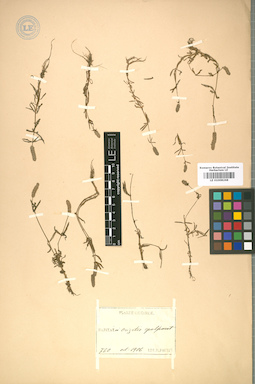 LE 01008268