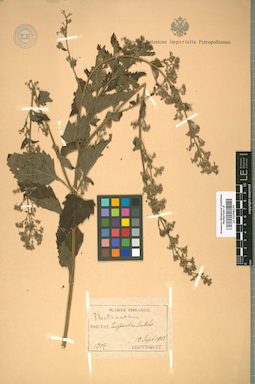 LE 01008270
