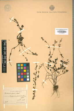 LE 01008272