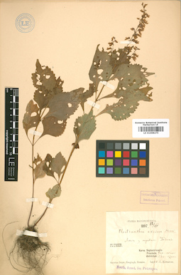 LE 01008275