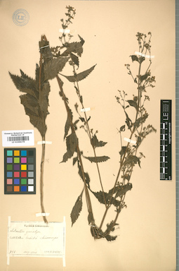 LE 01008278