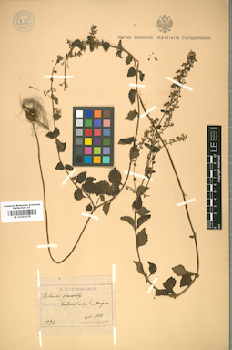 LE 01008279