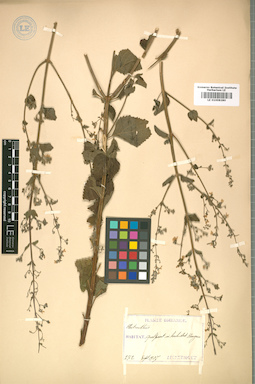LE 01008280