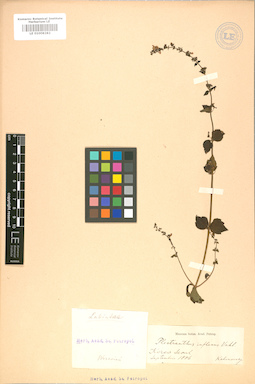 LE 01008282