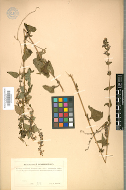 LE 01008285