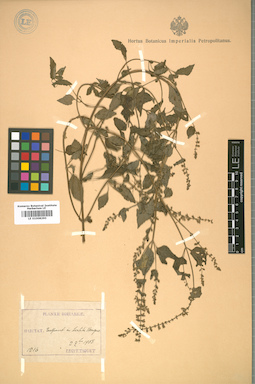 LE 01008290
