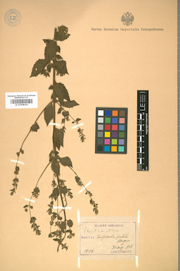 LE 01008291