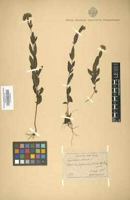 LE 01008301