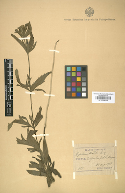 LE 01008309