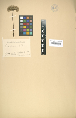 LE 01008311