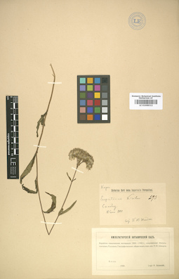 LE 01008312