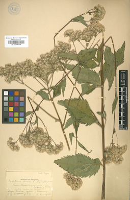 LE 01008314