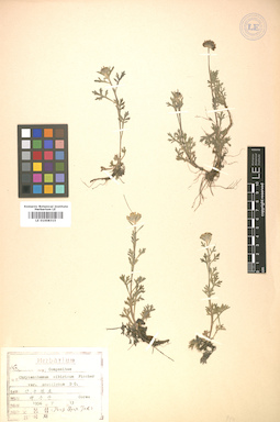 LE 01008315
