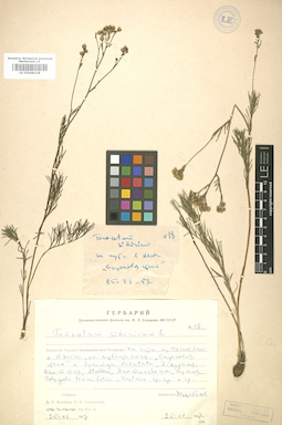 LE 01008319