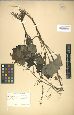 LE 01008324