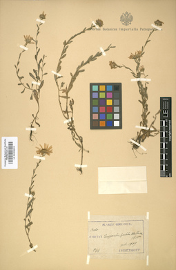 LE 01008422