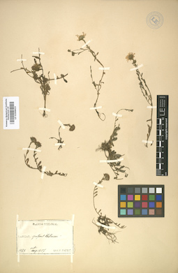LE 01008423