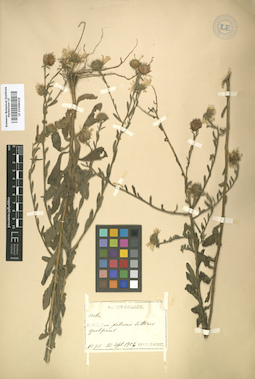 LE 01008426
