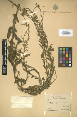 LE 01008428