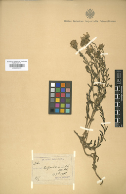 LE 01008430