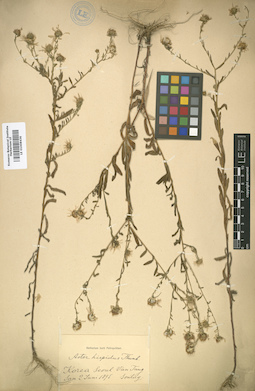 LE 01008436