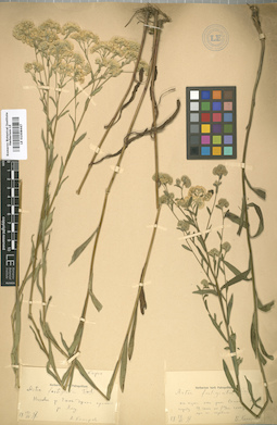 LE 01008447