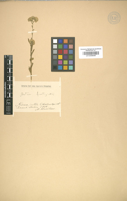 LE 01008449