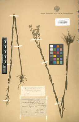 LE 01008450