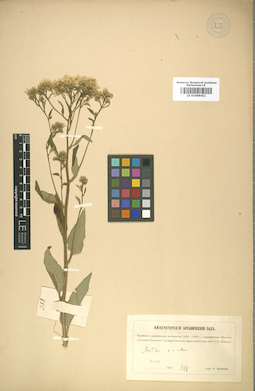 LE 01008452