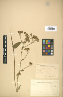 LE 01008454