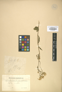 LE 01008455