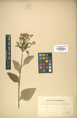 LE 01008456