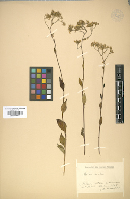 LE 01008457