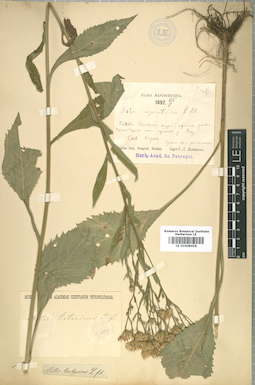 LE 01008458