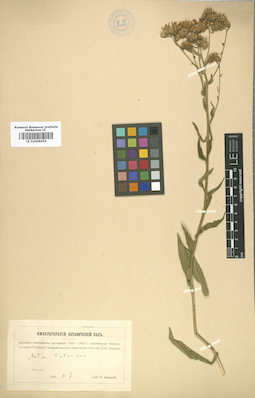 LE 01008459